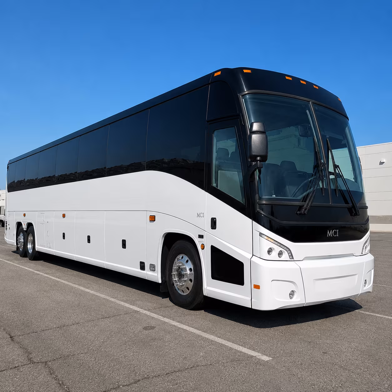buses for sea life minnesota aquarium and mall of america field trips